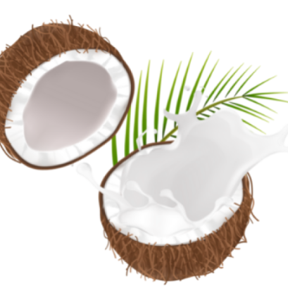 CANNED COCONUT MILK